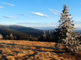 Główny Szlak Beskidzki. Koniec z oznakowaniem z lat 80. Czas na nowoczesność Beskidy
