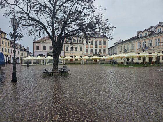 ogr&oacute;dki Rzesz&oacute;w