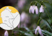 Wyjątkowa sytuacja pogodowa. Podkarpacie „białą wyspą” na mroźnej mapie Polski pogoda na Podkarpaciu