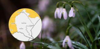 pogoda na Podkarpaciu