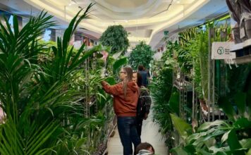 Galeria Rzeszów zamieni się w dżunglę. Wiosenne Targi Roślin i kwiat dla każdej Pani