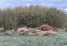 dzikie wysypisko śmieci