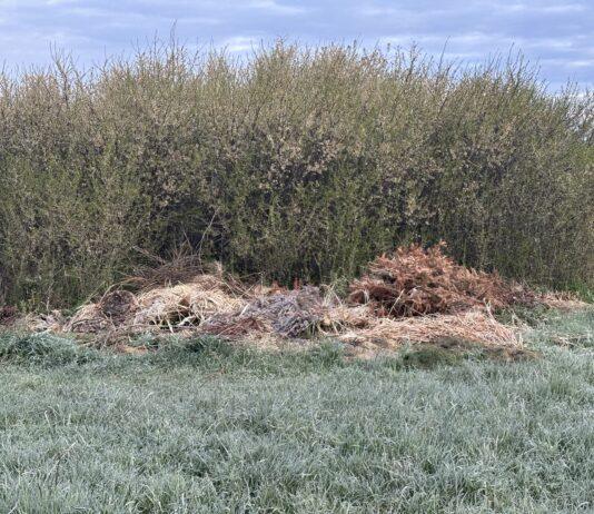 dzikie wysypisko śmieci