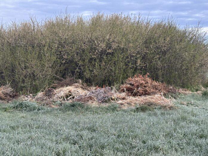 dzikie wysypisko śmieci