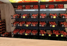 pomidory w Rzeszowie