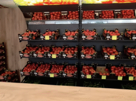 pomidory w Rzeszowie