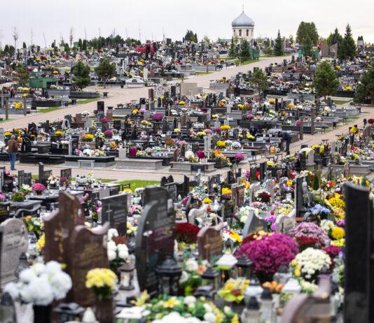 cmentarz wilkowyja rzeszów