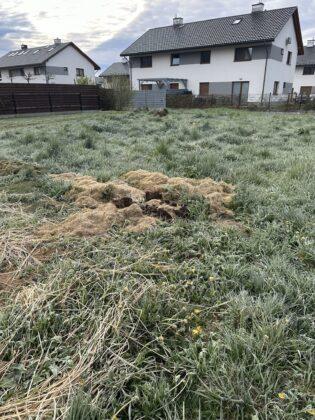 dzikie wysypisko śmieci