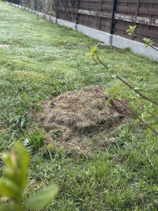 dzikie wysypisko śmieci