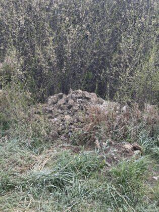 dzikie wysypisko śmieci