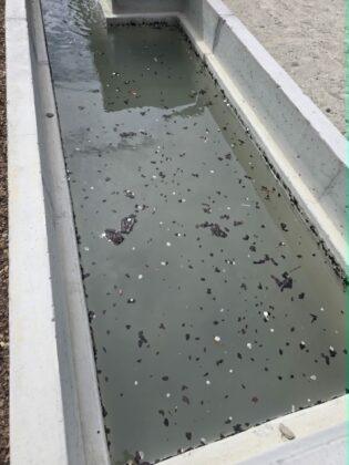 fontanna Nowe Miasto