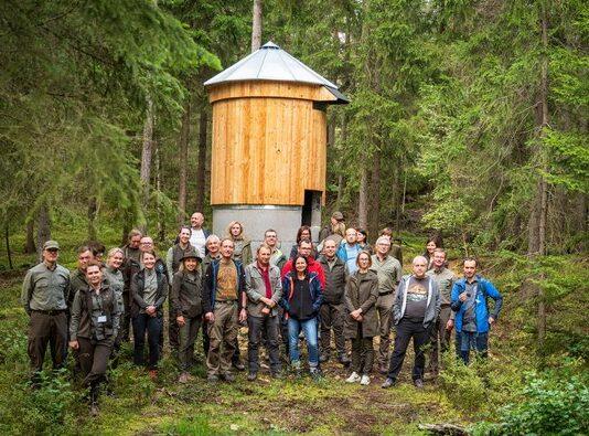 wieże las podkarpacie nietoperze
