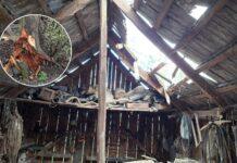 750 odbiorców bez prądu i 119 interwencji strażaków po wichurach