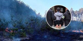 podpalenie lasu stalowa wola