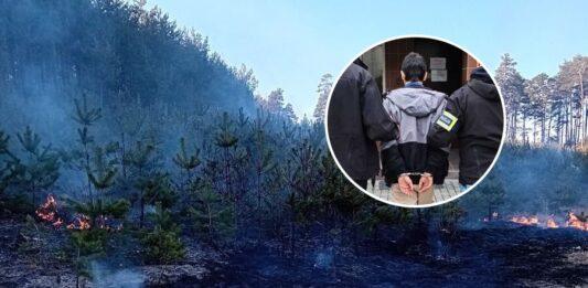 podpalenie lasu stalowa wola