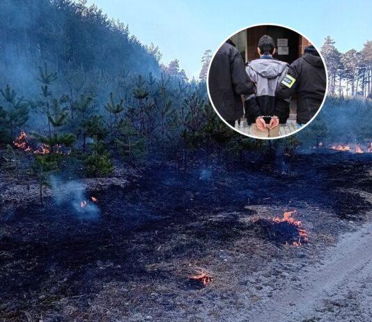 podpalenie lasu stalowa wola