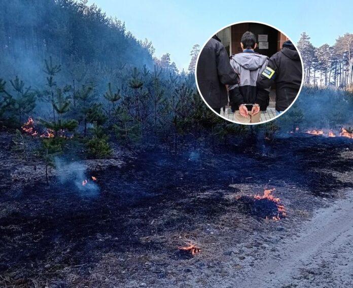 podpalenie lasu stalowa wola