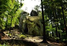 Makabryczne odkrycie w rezerwacie przyrody. Ciało mieszkańca Rzeszowa miało ranę postrzałową