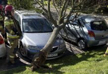 przygnieciony samochód