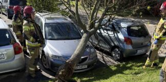 przygnieciony samochód