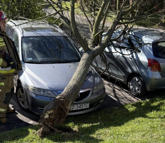 przygnieciony samochód