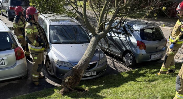 przygnieciony samochód