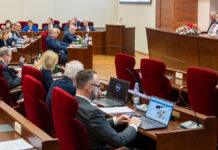 Radni sejmiku o sytuacji z niedźwiedziami. Zaapelowali do rządu