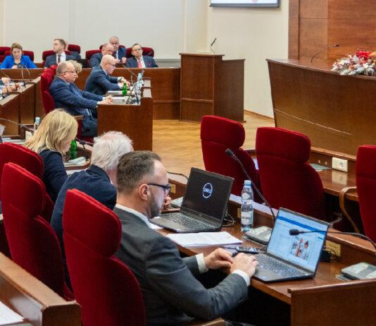 Radni sejmiku o sytuacji z niedźwiedziami. Zaapelowali do rządu
