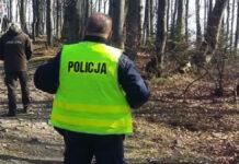 Tragedia na Podkarpaciu. 43-latek zginął podczas wycinki drzew