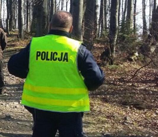 Tragedia na Podkarpaciu. 43-latek zginął podczas wycinki drzew