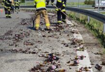piwo na autostradzie