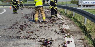 piwo na autostradzie