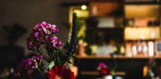 Oferta pracy: Pracownik restauracji w Rzeszowie