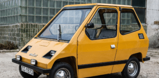 Electro City Car Melex
