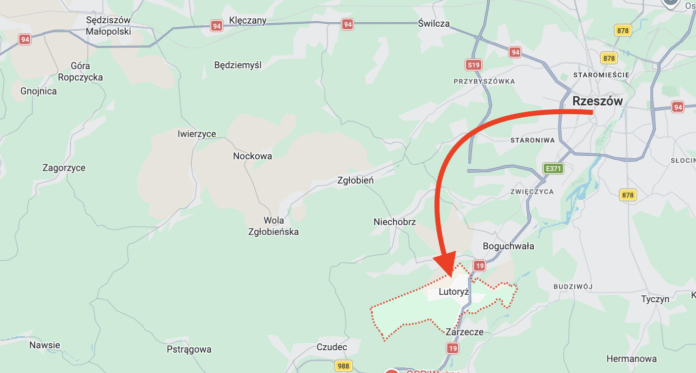 lutoryż lutoryż płody