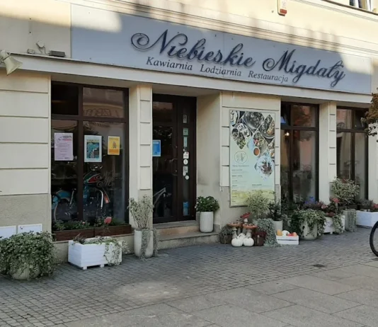 niebieskie migdały 3 maja rzeszów