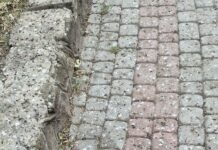 Gruba warstwa odchodów, smród i zamykane okna. Koszmar mieszkańców os. Pułaskiego i pat decyzyjny ptaki na os. Pułaskiego