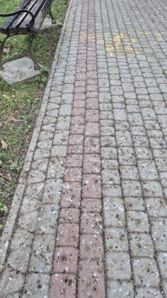 ptaki na os. Pułaskiego