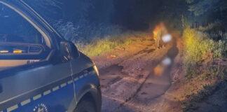 W nocy wędrowali po górach. Zgubili się, chowając przed zwierzęciem
