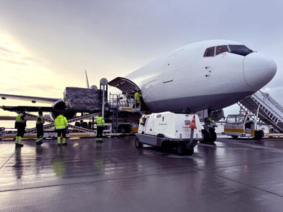 Boeing 767-300ER(BDSF)