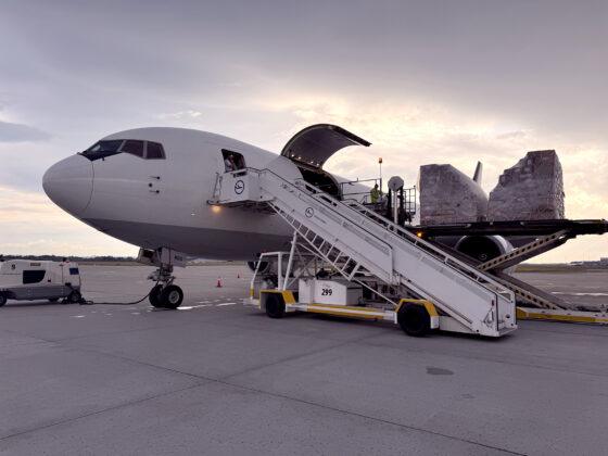 Boeing 767-300ER(BDSF)