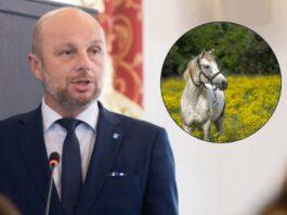 Gorący spór o rozrywkę kosztem zwierząt. Prezydent Rzeszowa chwali festyn, aktywiści mówią o cierpieniu pixabay