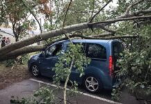 Krajobraz po nawałnicach. Strażacy interweniowali na Podkarpaciu ponad 80 razy