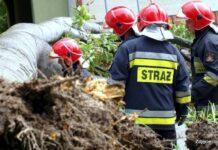 Nawałnice przeszły nad Podkarpaciem. Strażacy usuwają powalone drzewa i uszkodzone linie ulewy