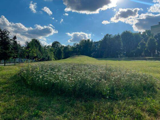 plac zabaw krakowska