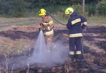 Próbowali gasić własnymi siłami, ale ogień był szybszy. Pomogła dopiero straż pożar traw
