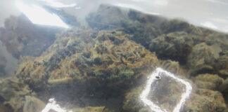 marihuana