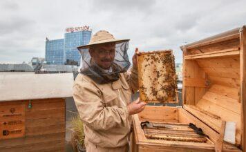 Trwa kiermasz naturalnych produktów w Galerii Rzeszów. Rzeszowskie Miodobranie w sercu miasta