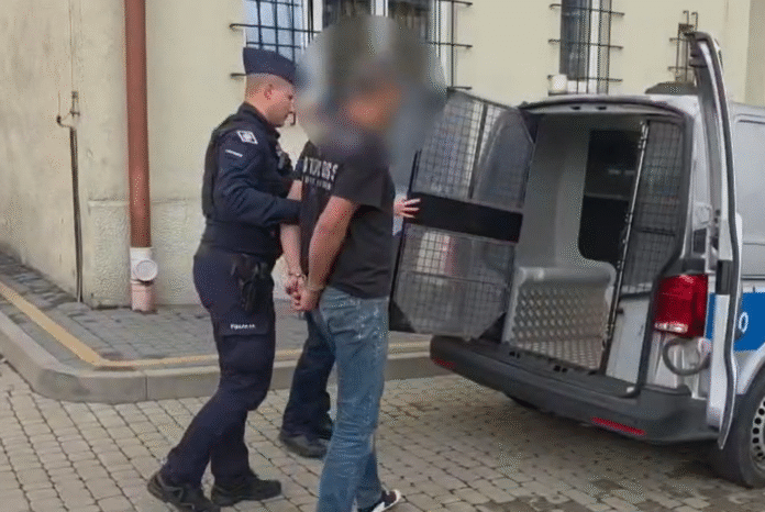 agresor boguchwała agresor boguchwała