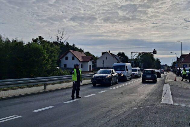 dożynki prezydenckie w Tryńczy